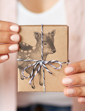 Caja para regalo de Ximena Clavelli Joyería Salvaje, ilustración ciervo pudu, fauna sudamericana, especies autoctonas.