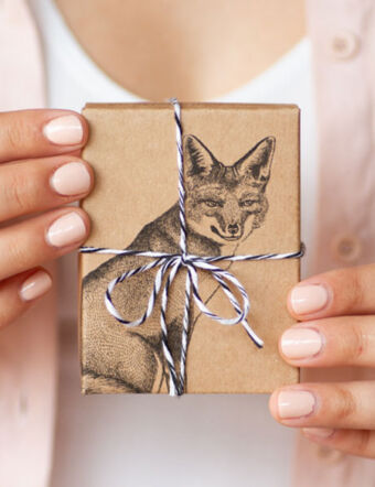 Caja para regalo de Ximena Clavelli Joyería Salvaje, ilustración zorro, fauna sudamericana, especies autoctonas.