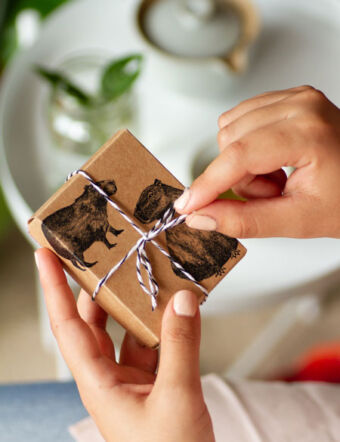 Caja para regalo de Ximena Clavelli Joyería Salvaje, ilustración carpincho, capibara, unboxing.