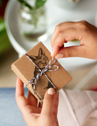 Caja para regalo de Ximena Clavelli Joyería Salvaje, ilustración zorro, unboxing.